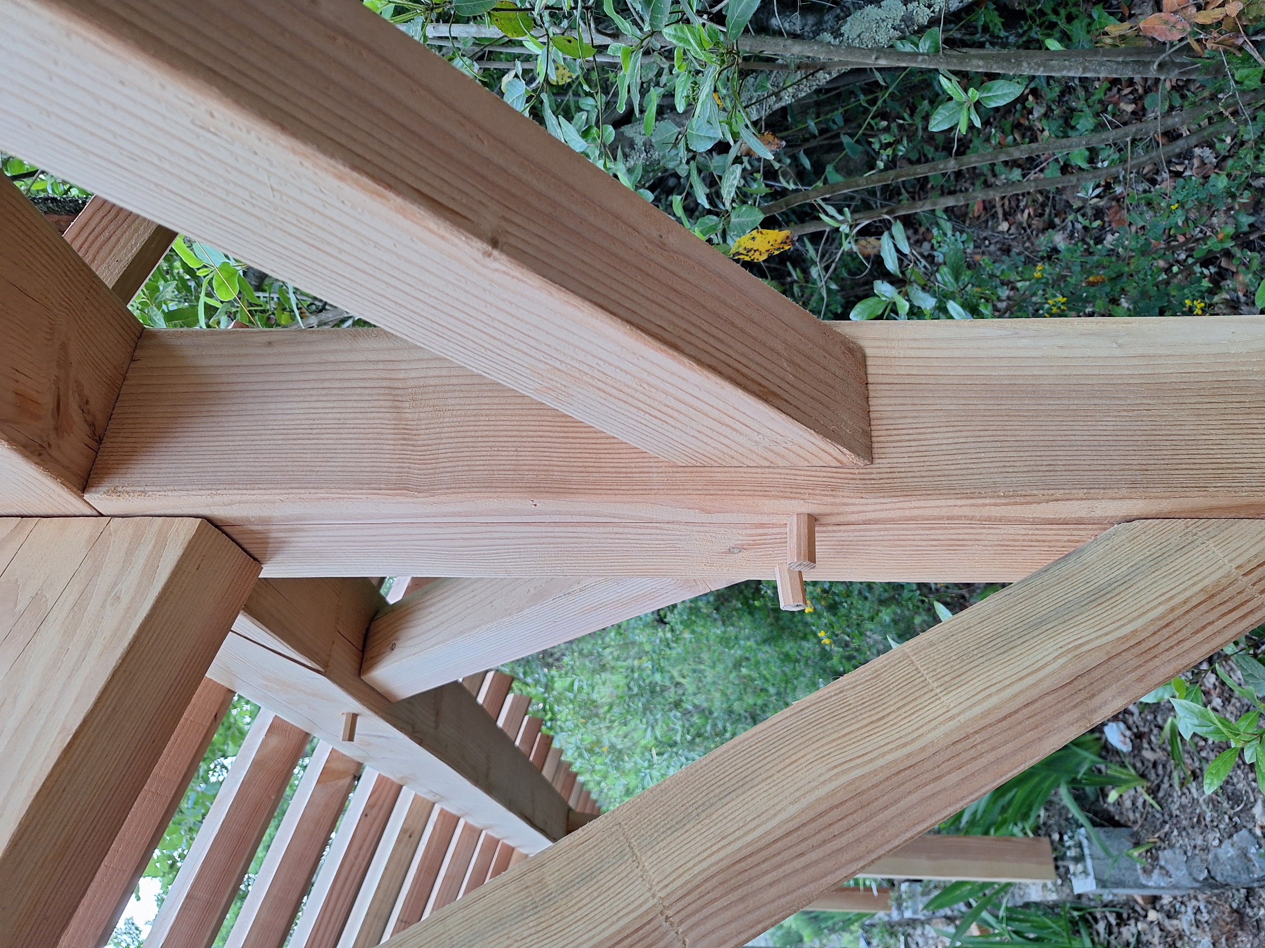 Appentis Traditionnel - image 2