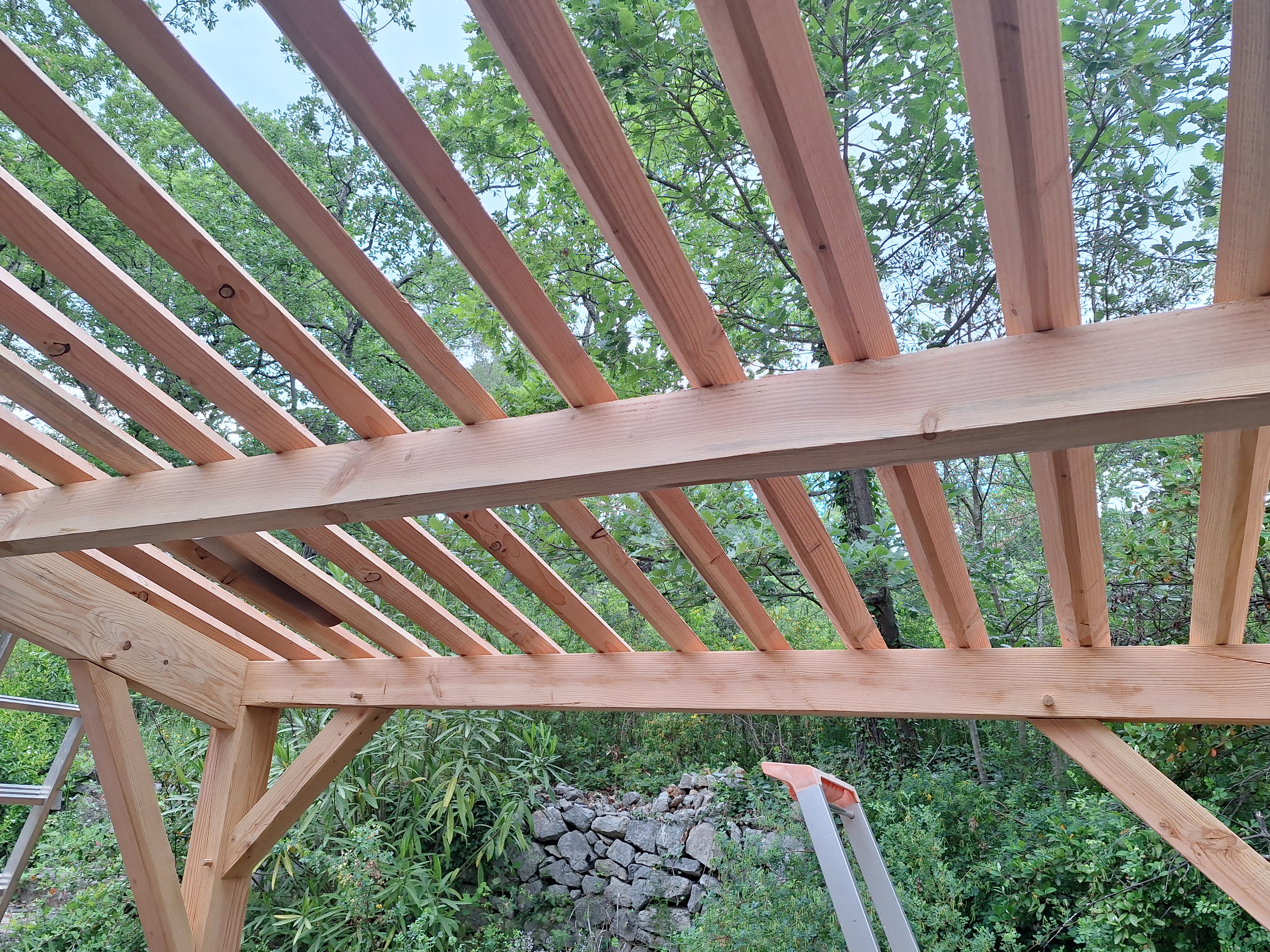 Appentis Traditionnel - image 3